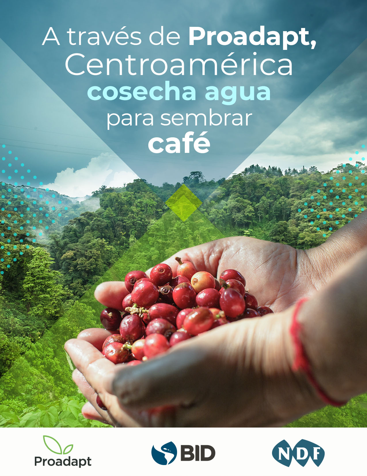 A través de Proadapt, Centroamérica cosecha agua para sembrar café